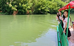 发现王国动画片